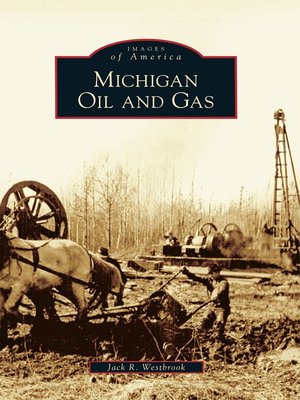 Michigan Oil and Gas - ebook